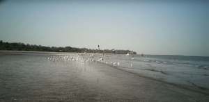 PUNE TAXI SERVICE EX FAUJI CAB SERVICE – DISCIPLINE, SAFETY &AMP; SERVICE ON WHEELS